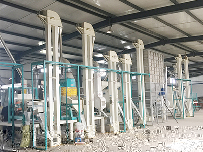 100噸大米加工設備